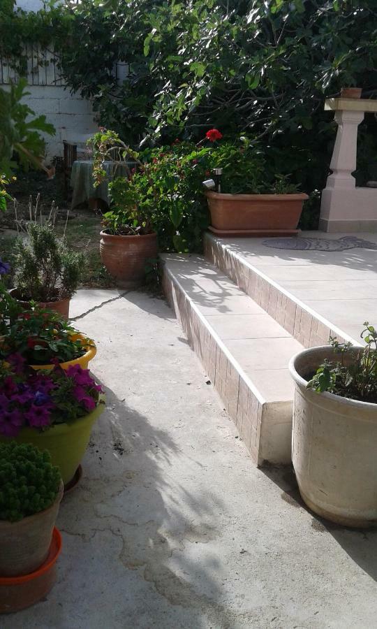 Αmmos Rooms Palaiochora Exterior foto